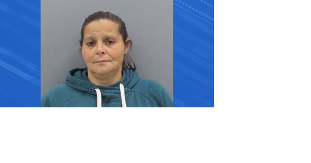 Woman arrested for breaking into Garner storage units - Vimarsana News
