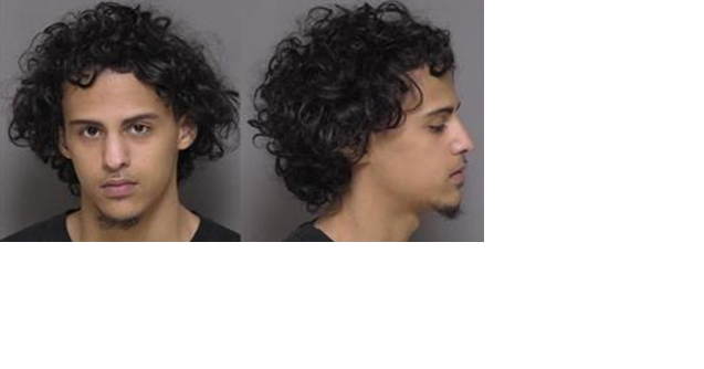 Rochester teen pleads not guilty to drug and gun crimes - Vimarsana News