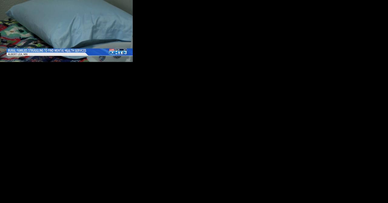 A Freeborn County family struggling with lack of rural mental health services - Vimarsana News