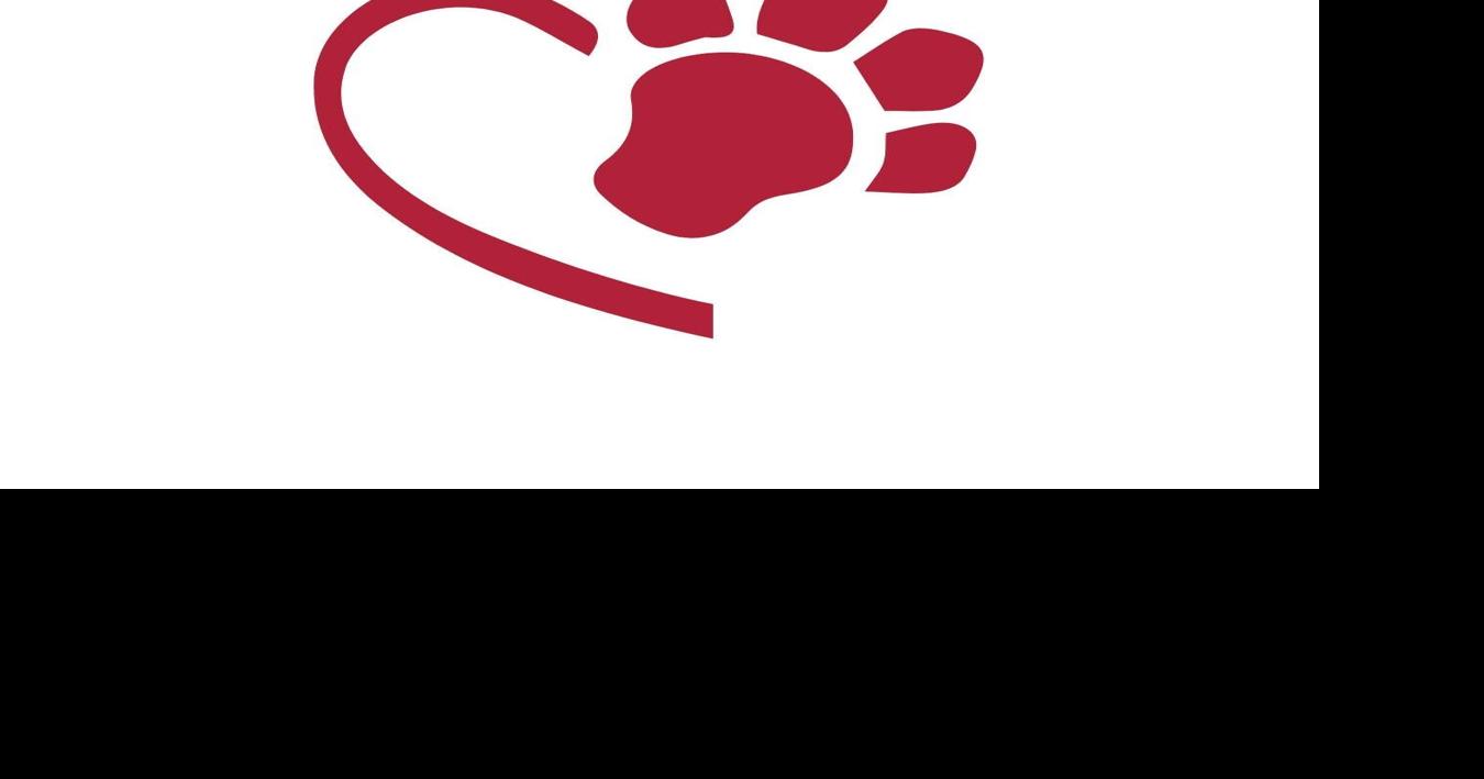 Rochester pet hospital celebrates new facility with open house