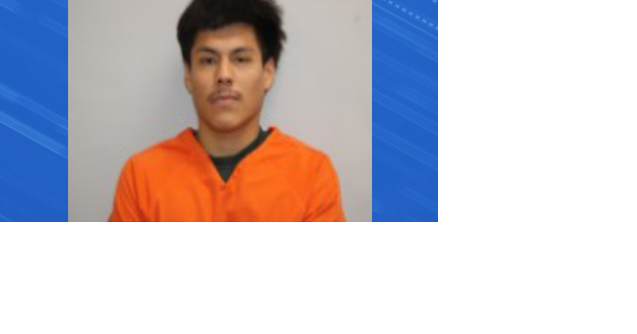 Austin man pleads guilty to threatening to stab a young boy - Vimarsana News