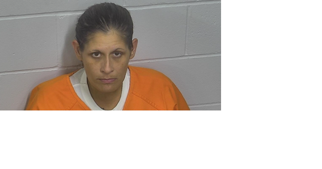 Minnesota woman pleads not guilty for theft of a pickup truck in North Iowa - Vimarsana News