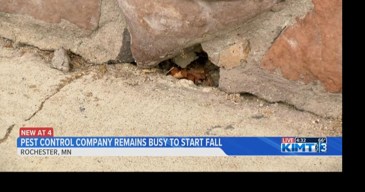 Pest control service remains busy to start fall News