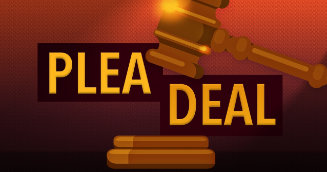 Plea deal for Grand Meadow man facing 12 child porn felonies - Vimarsana News