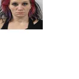 Woman sentenced for robbing Winnebago County farm over and over and over again - Vimarsana News