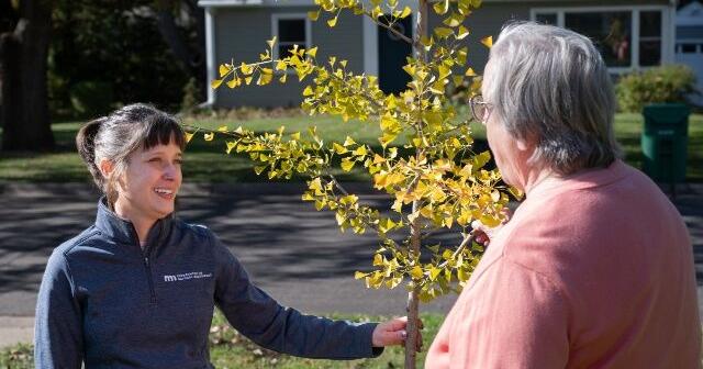 DNR unveils tool to help Minnesota cities plan tree planting strategies ...