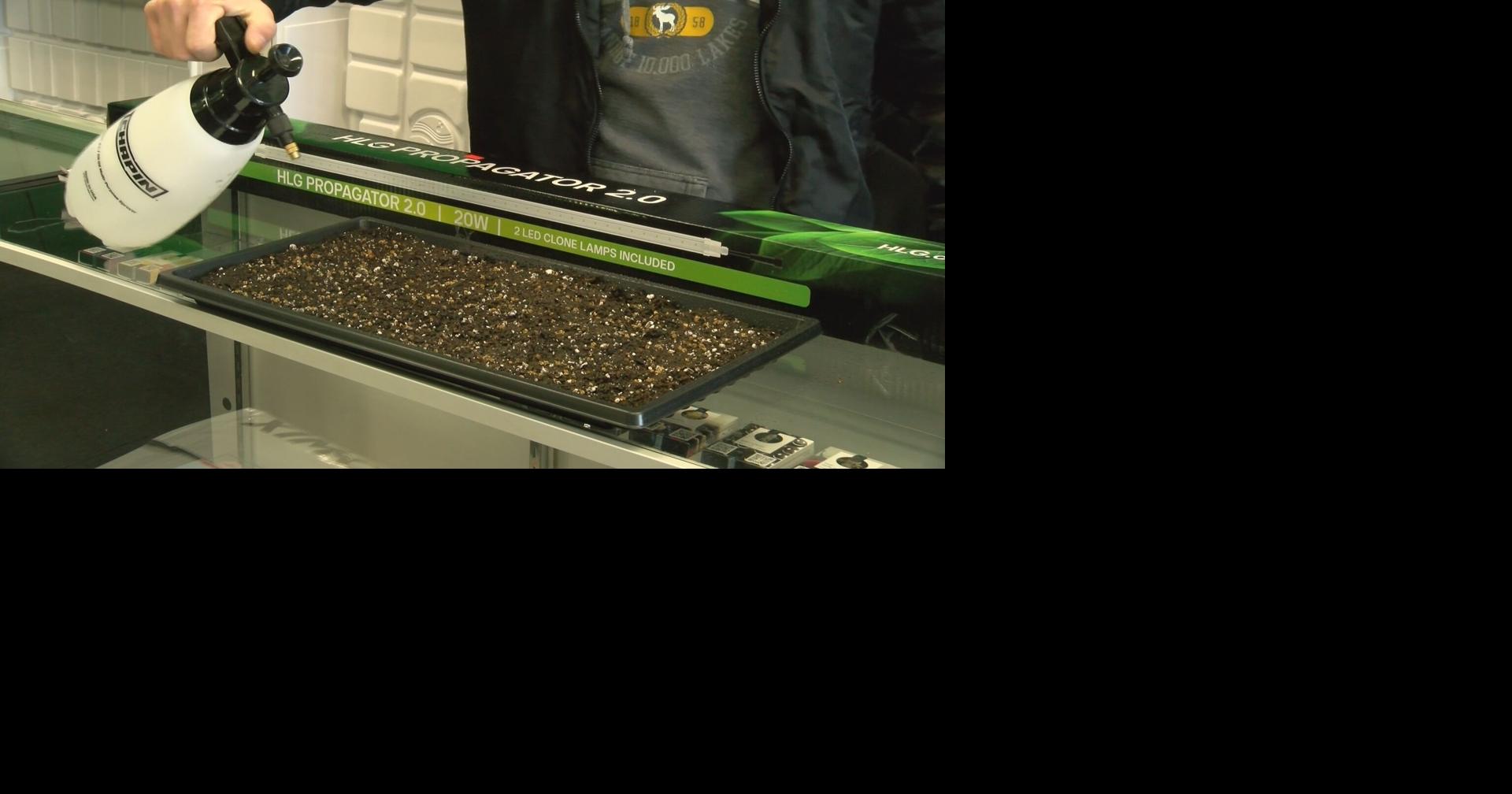 Growing Green: Tips from the Urban Grow Store about growing microgreens ...