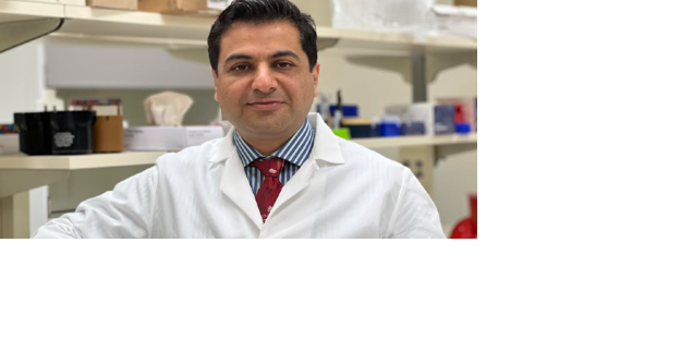 Hormel Institute researcher receives $40,000 grant from American Cancer Society - Vimarsana News