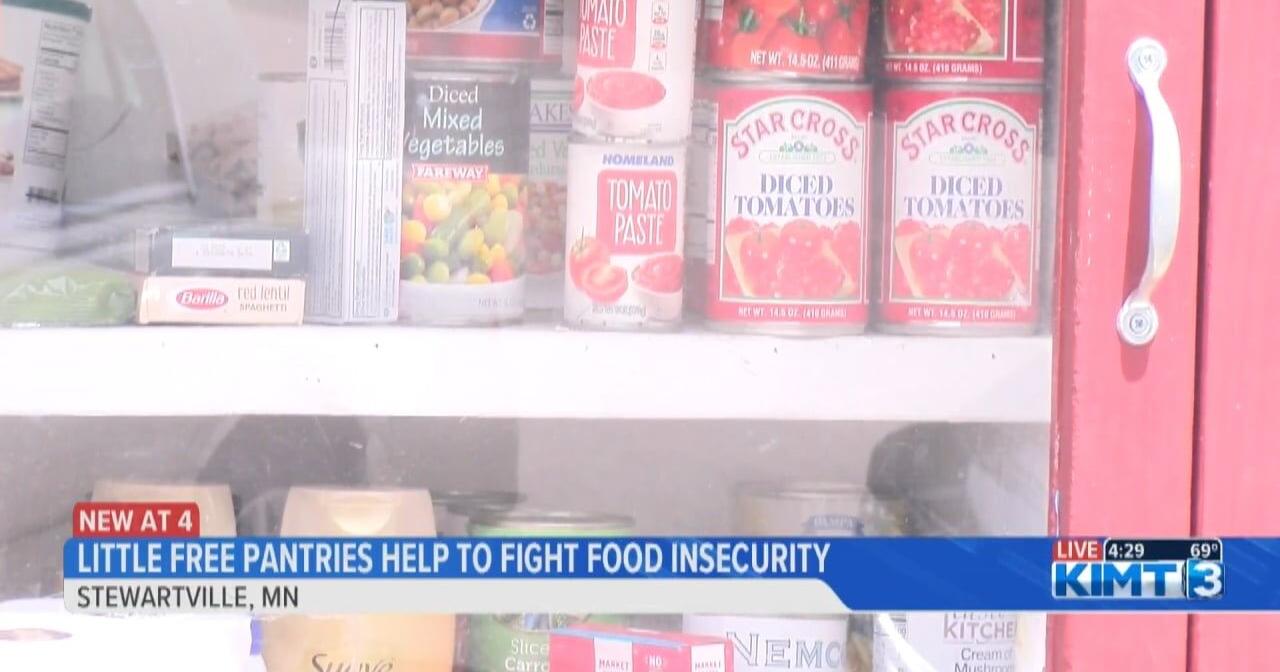 Stewartville little free pantries help fight food insecurity - Vimarsana News
