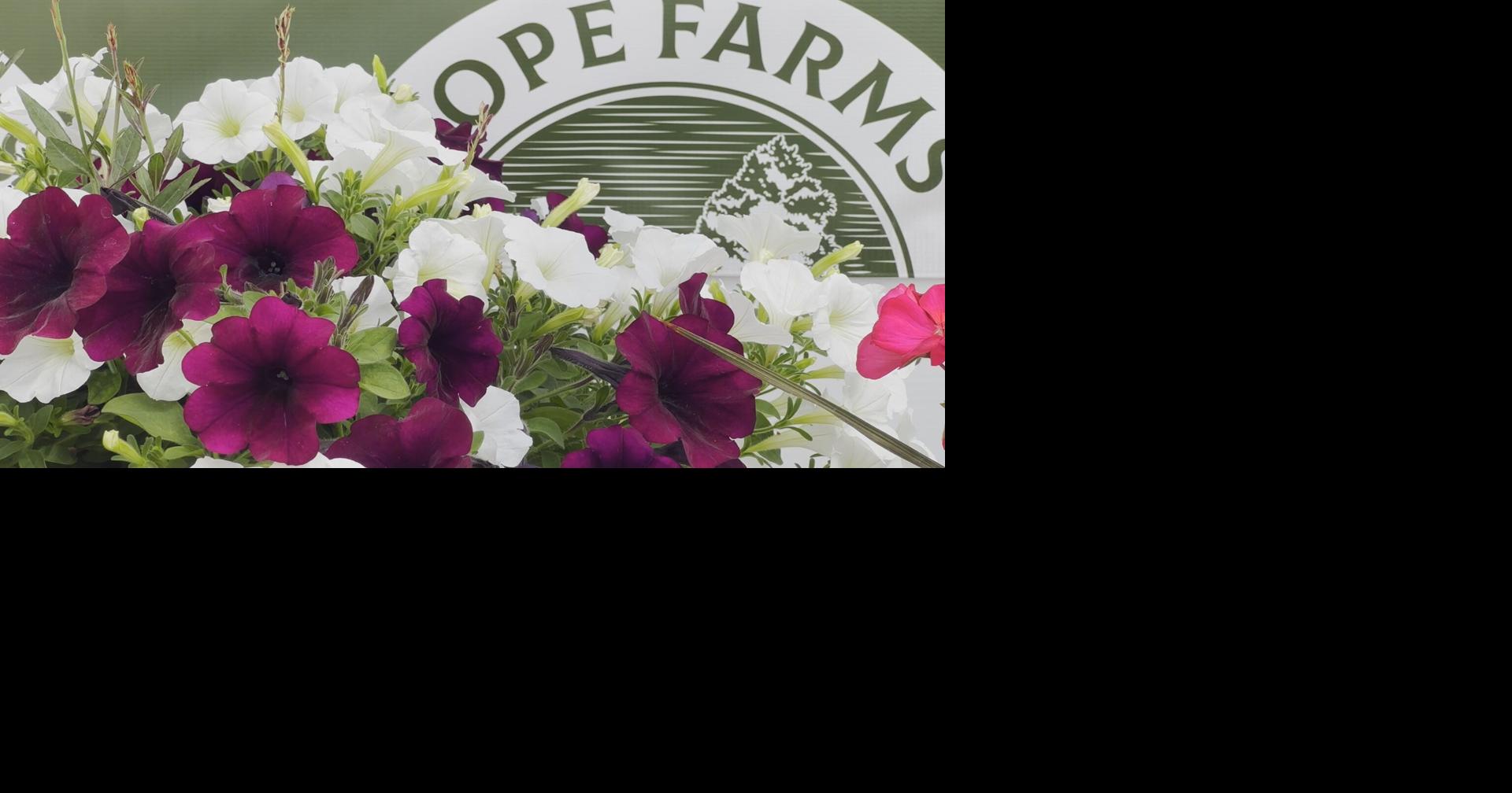 Hope Farms opens just in time for Mother's Day weekend | Local | kimt.com