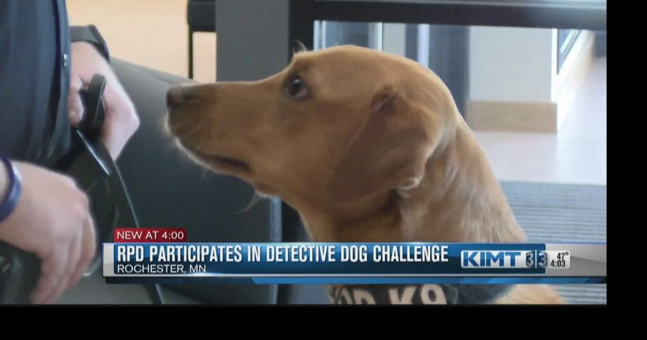 Rochester police dog competes in national Detection Dog Challenge ...