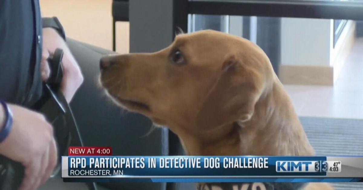Pd Rocco Rochester police dog competes in national Detection Dog Challenge ...