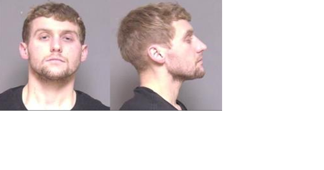 Fourth arrest for Stewartville man in just four months - Vimarsana News