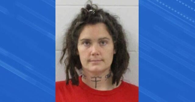 Mason City woman pleads not guilty to Lake Mills burglaries | News ...