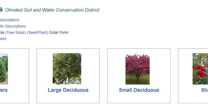 Olmsted County Soil and Water Conservation District now accepting