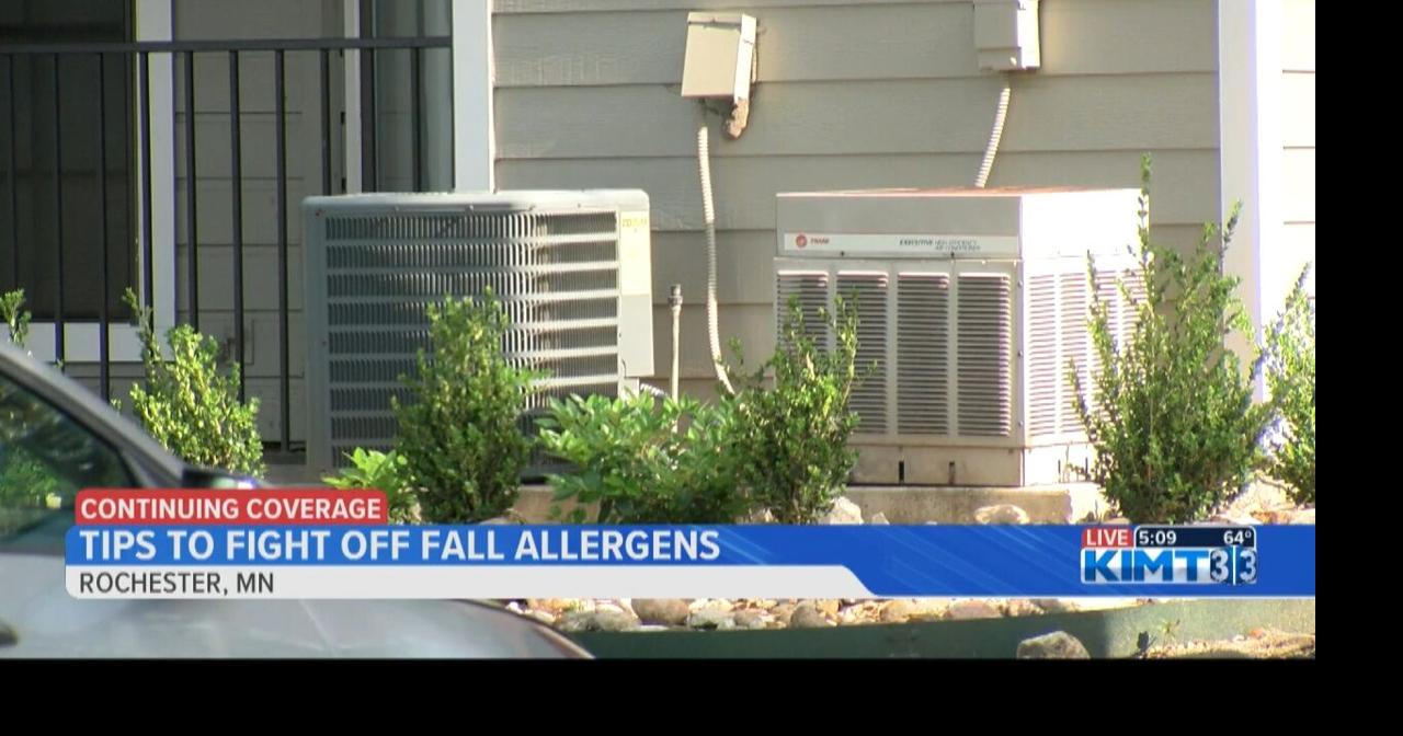 Expert provides tips on fighting fall allergens | News | kimt.com
