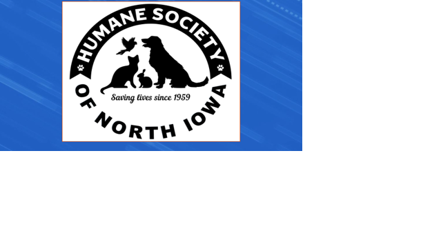 This is Adopt a Shelter Dog Month - Vimarsana News