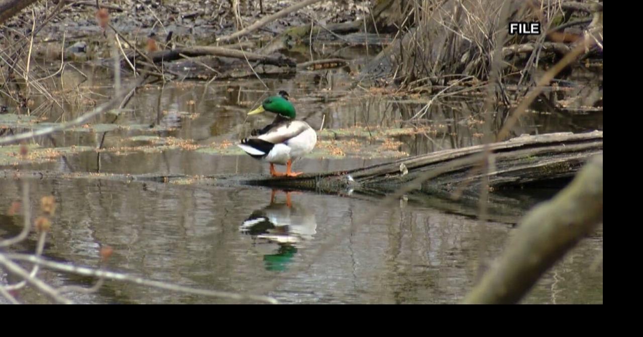 Iowa gets $9.5M to fight forever chemicals in drinking water