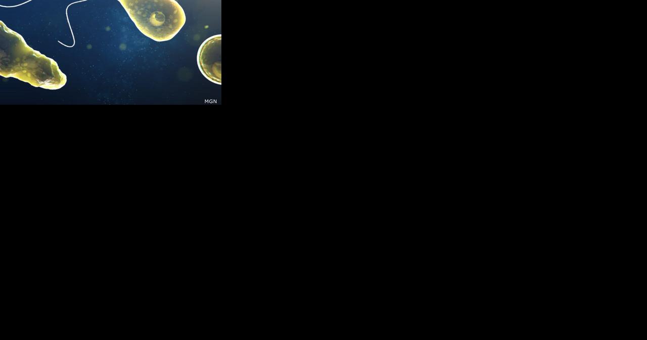 Missouri resident infected with brain-eating amoeba after swimming at Iowa beach dies - Vimarsana News