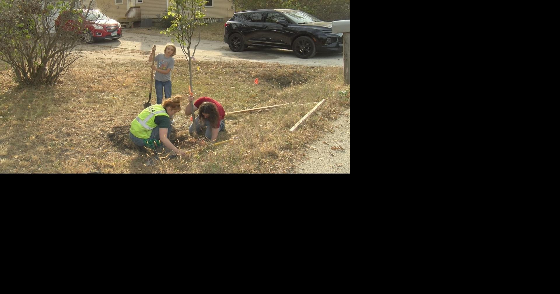 Help combat pollution: Rochester needs tree planting volunteers | News ...