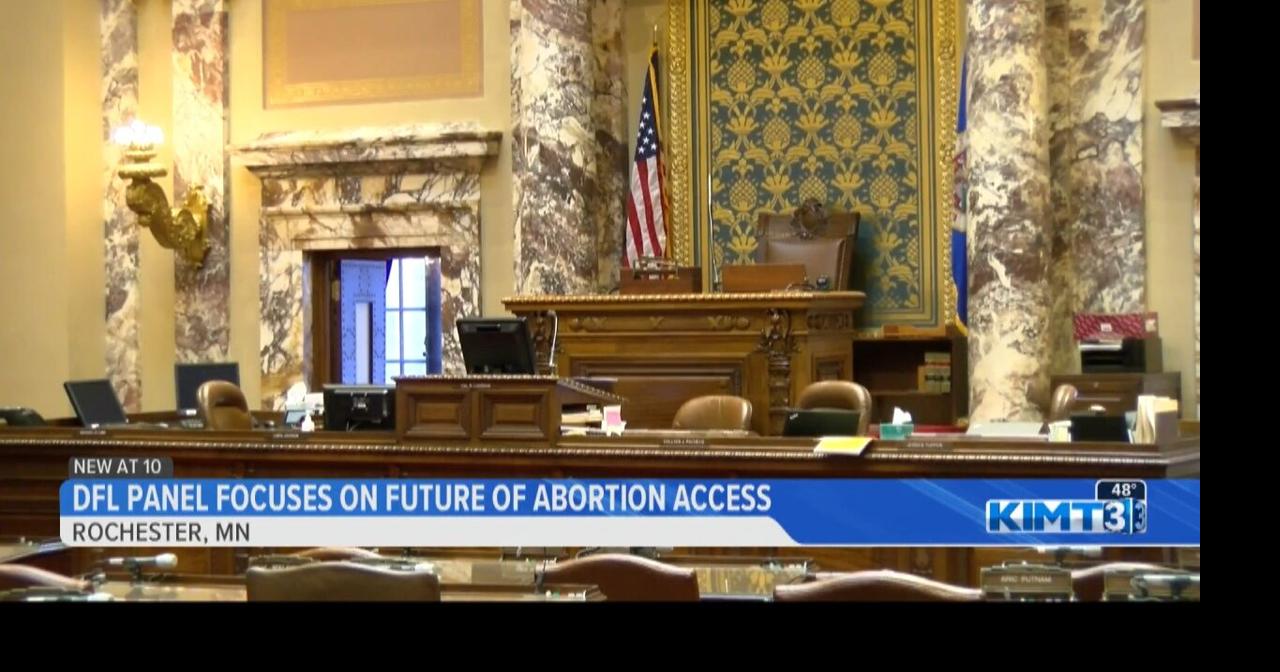 DFL panel focuses on the future of reproductive rights in Minnesota ...