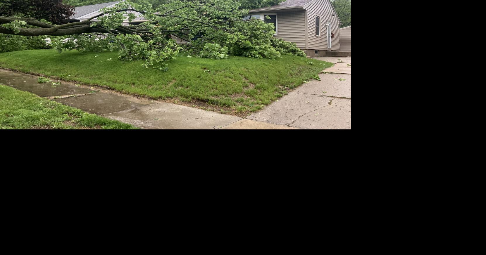 Severe weather knocks down trees, damages NE Rochester home | News ...