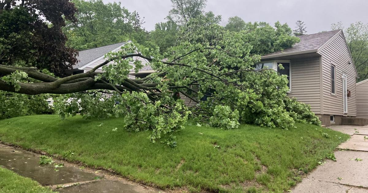 Tree Knocks Severe weather knocks down trees, damages NE Rochester home | News ...