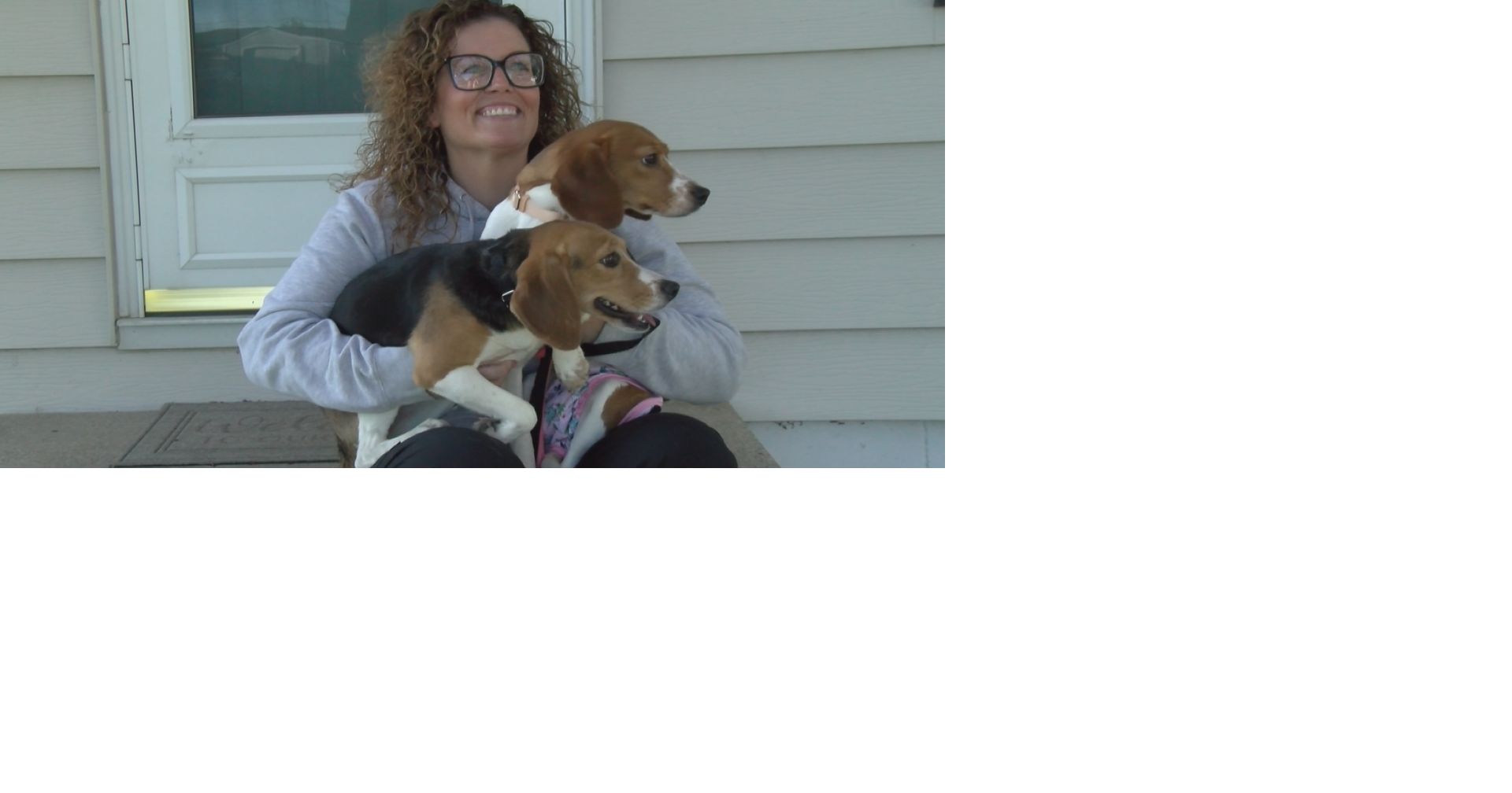 From Ridglan Farms to loving arms: Camp Companion rescues beagles ...