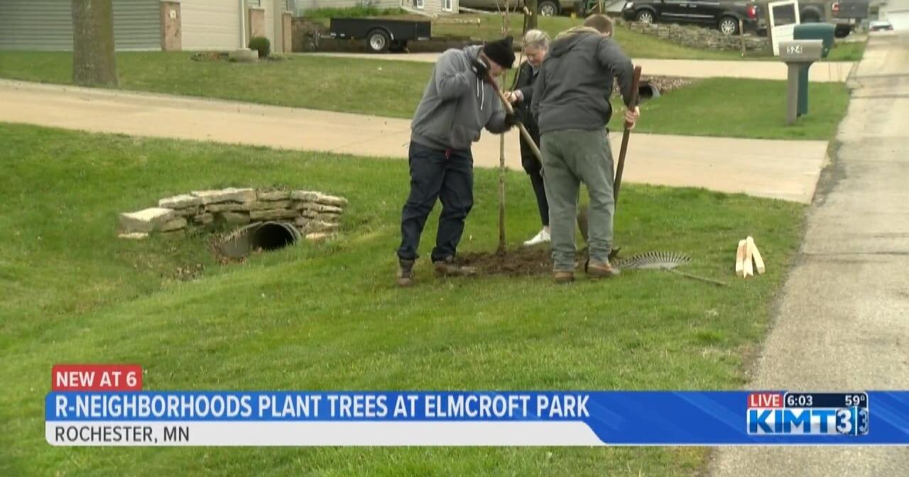 R-Neighborhoods hosts spring tree planting event - Vimarsana News