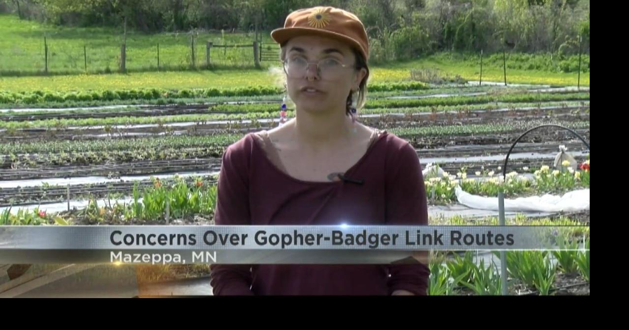 Concerns Over Gopher-Link Power Project | Video | kimt.com