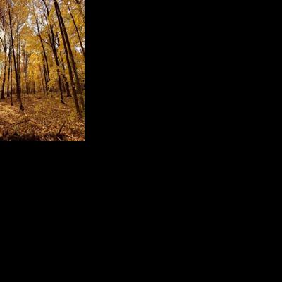 Minnesota WMAs turn 75 with statewide photo contest