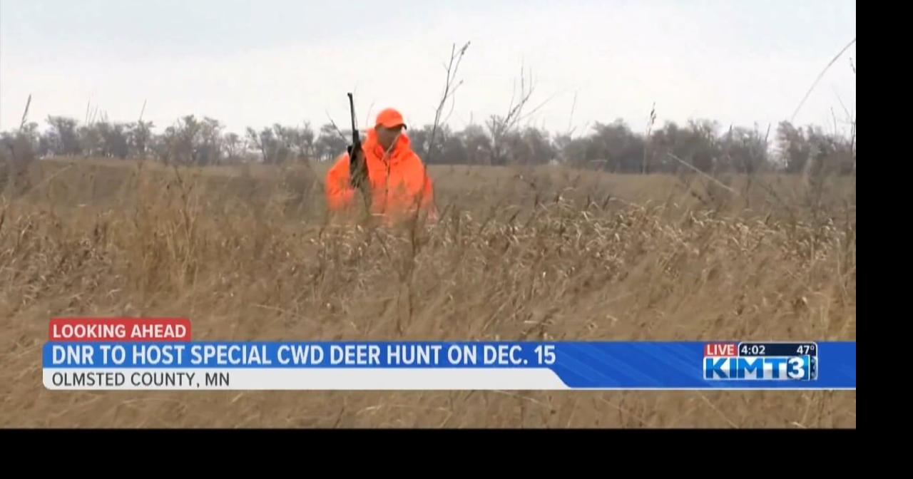DNR to host special CWD hunt in SE Minnesota | News | kimt.com