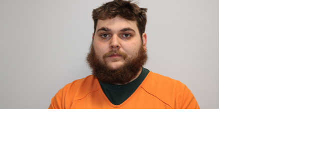 Second man sentenced for stealing from Austin auto parts store - Vimarsana News