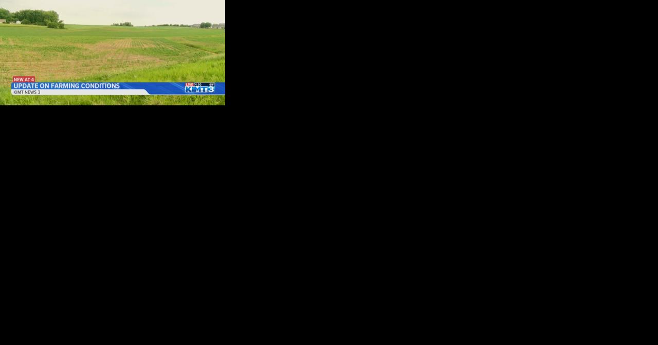 Minnesota scientist provides update on dry weather impact on farming conditions - Vimarsana News