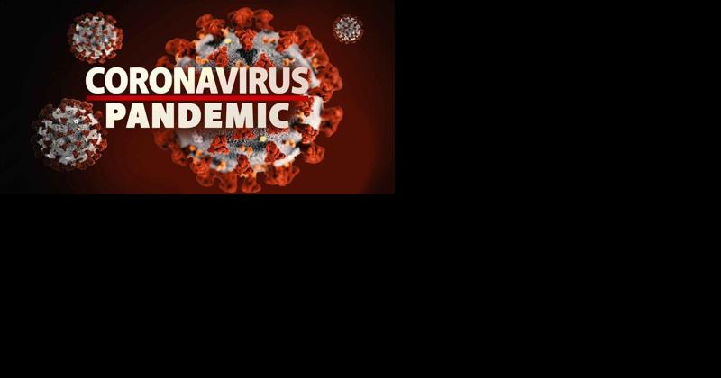 Secret Service: Nearly $100B stolen in pandemic relief funds - Vimarsana News