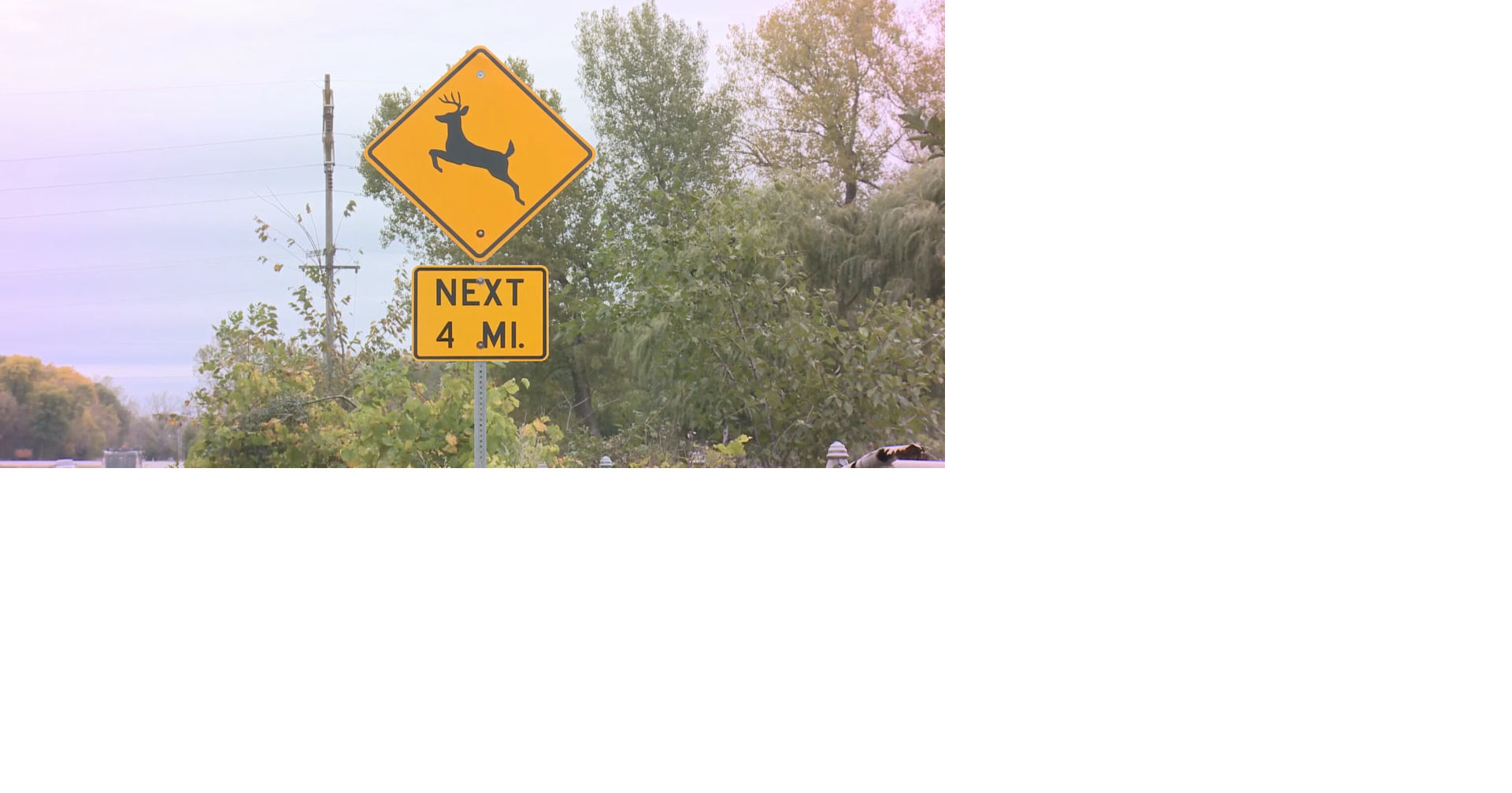 Minnesota State Patrol warns drivers as deer activity increases | News ...