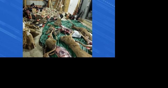 Five plead guilty in western Iowa poaching case - Vimarsana News