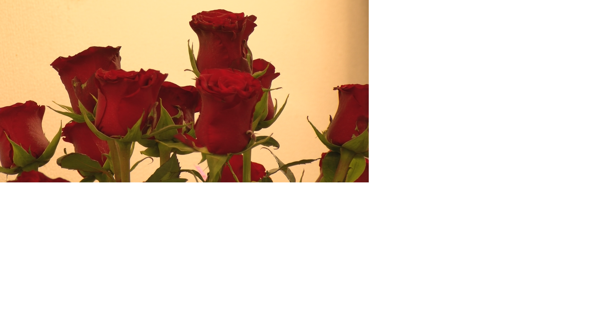 Local flower vendor says tariffs haven't affected business