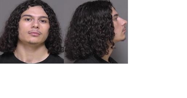 Second teen pleads guilty for drive-by shooting in Rochester - Vimarsana News
