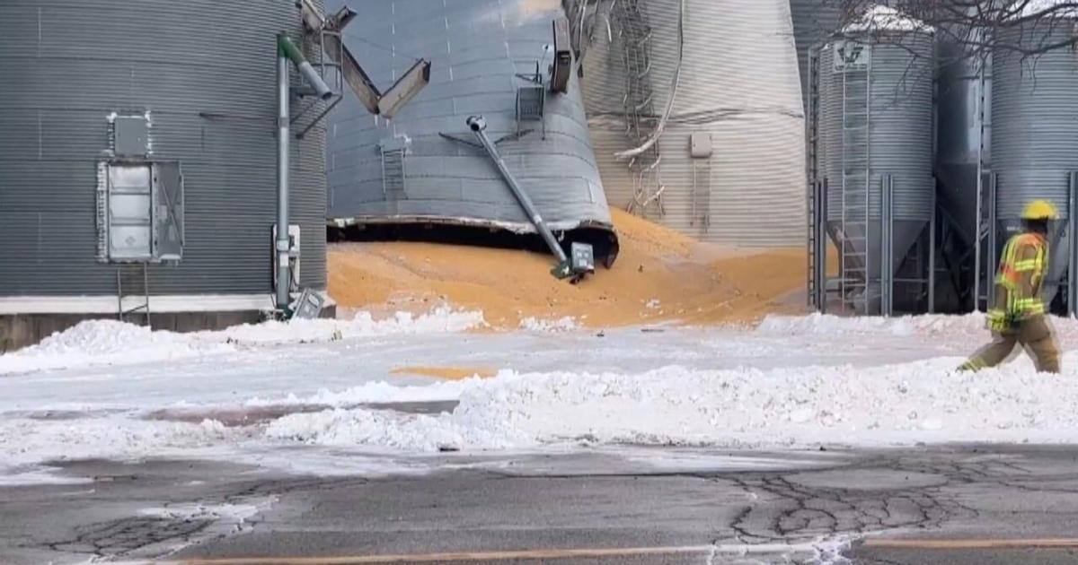 No one hurt in grain bin collapse