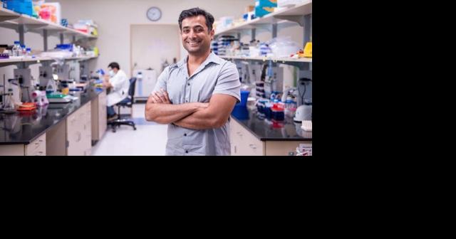 New Hormel Institute research could improve understanding of how Alzheimer's disease develops | News - Vimarsana News