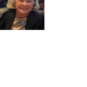 Minnesota woman reported missing in North Iowa - Vimarsana News