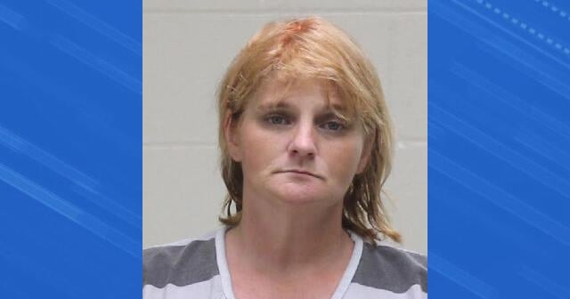 Woman sentenced for stealing from Mason City Hy-Vee | News | kimt.com