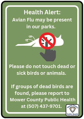 Warning about bird flu risk in Mower County | Freeborn/Mower counties ...