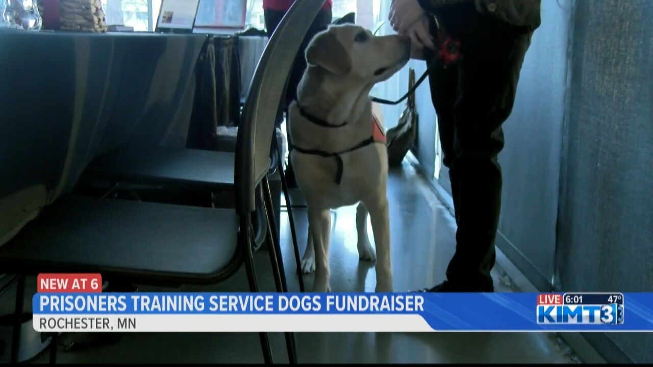 Prisoners training 2024 service dogs