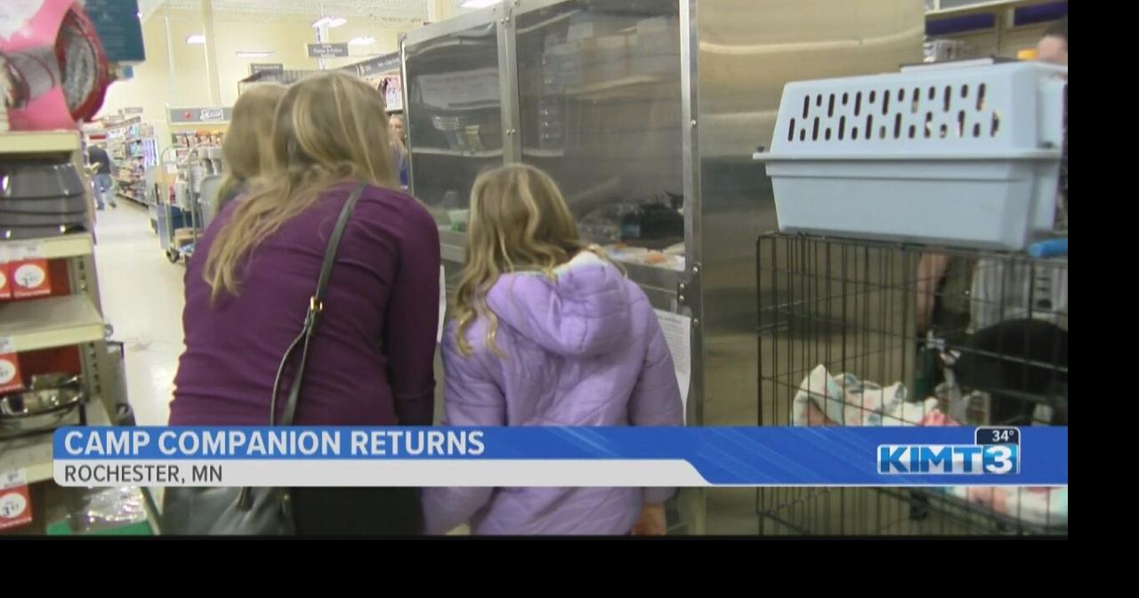 Camp Companion returns to Petsmart in Rochester Local
