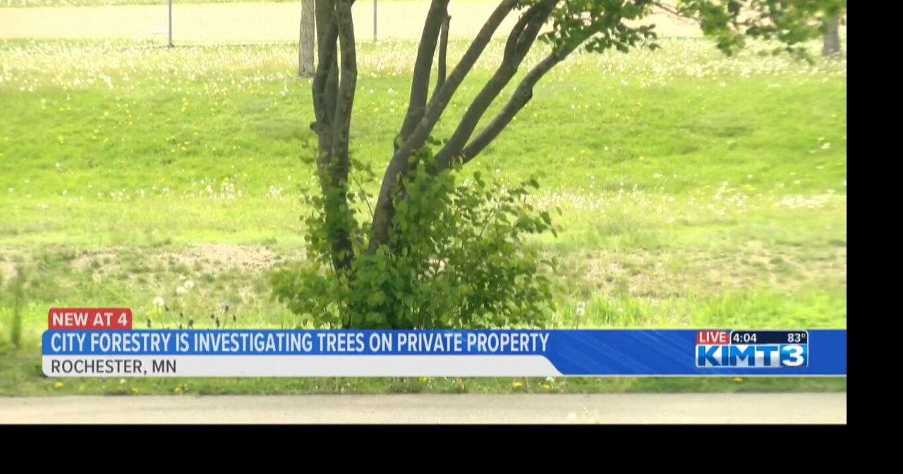 Rochester Forestry Division begins tree inspections | News | kimt.com