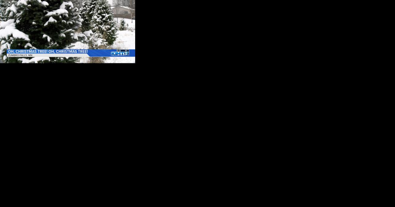 Rockin' around Zumbro Valley Christmas Trees! - Vimarsana News