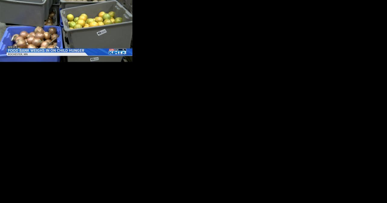 Channel One Regional Food Bank reflects on child hunger as Gov. Walz signs new bill into law - Vimarsana News