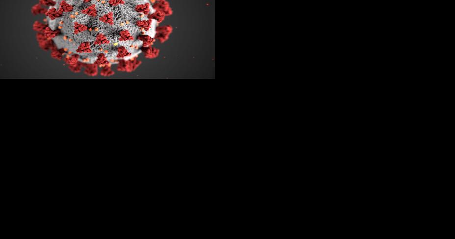 Audit finds issues with Minnesota COVID-19 pandemic spending - Vimarsana News